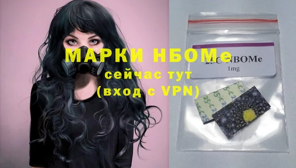 эйфоретик Вяземский