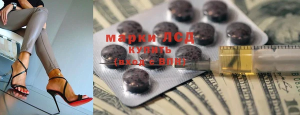 дживик Новозыбков
