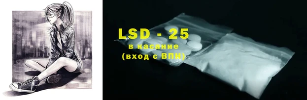 дживик Новозыбков