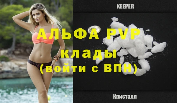 дживик Новозыбков