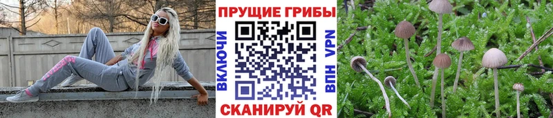 Галлюциногенные грибы мухоморы Никольск
